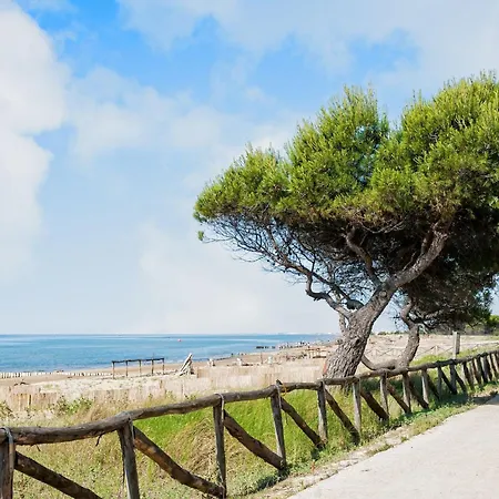 In A House With Garden