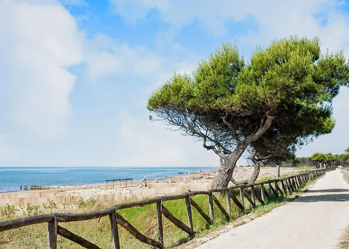 In A House With Garden